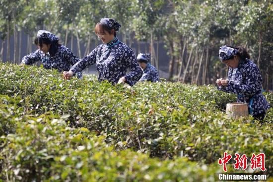 陵园行业上市探索与挑战，陵园企业冲击资本市场之路