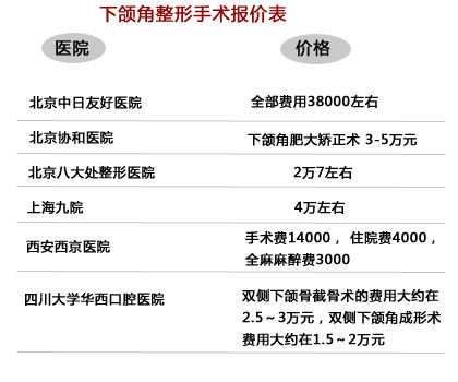 深度解析，整形手术价格及其观点阐述