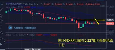 XRP最新行情,XRP最新行情，一场关于变化、学习与自信的励志之旅