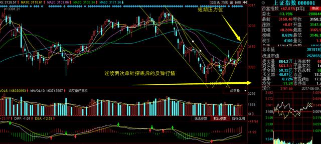 000520股票,探秘小巷深处的独特宝藏——000520股票与一家特色小店的奇妙故事