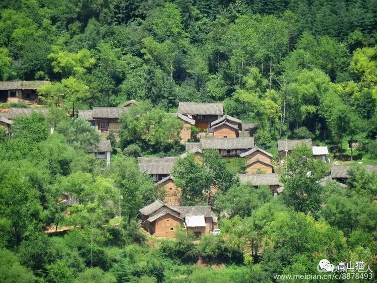 李易峰最新动态，拥抱自然，心灵宁静之旅