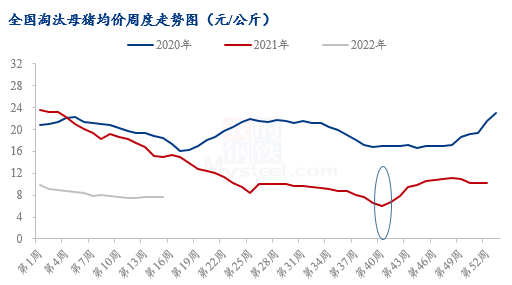 醴陵生猪行情深度分析