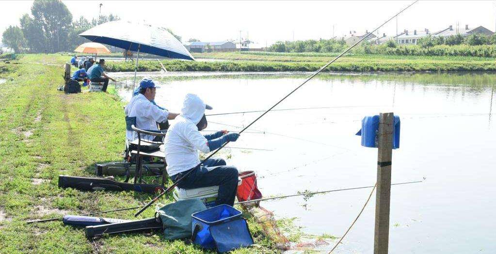 仕阳水库垂钓盛宴，深度解读钓鱼资讯与多元体验