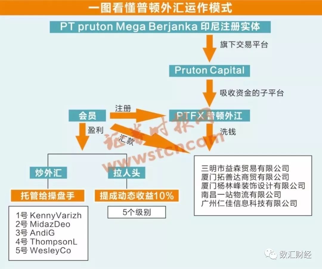 最新外汇案件详解，操作指南与进阶之路从入门到精通