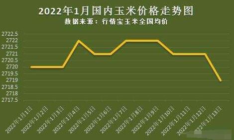 玉米价格最新行情2023年趋势及日常欢乐生活