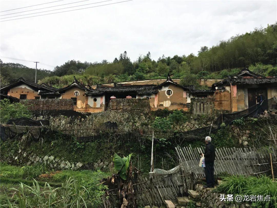 好先生电视剧全集免费播放，时代印记与文化回响