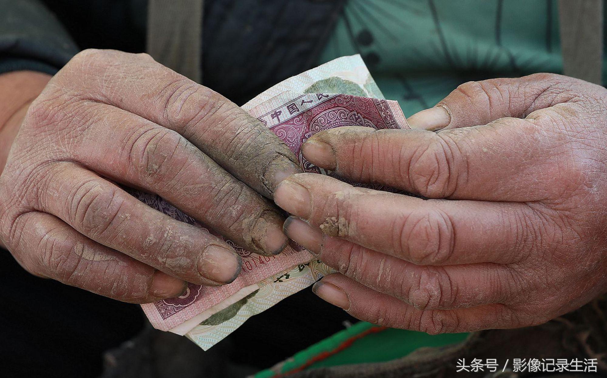 甘蓝今日价格行情分析与趋势预测