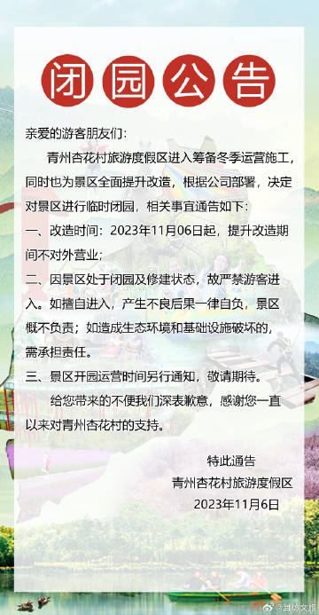 青州最新公告及其观点论述解析