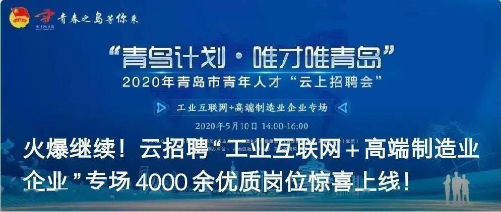 平阳人才招聘信息全面概览