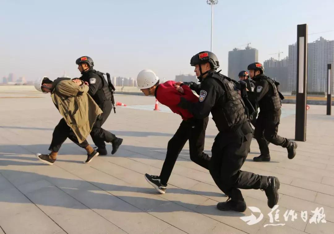 电影下载迅雷下载,电影下载迅雷下载，一种高效且便捷的方式