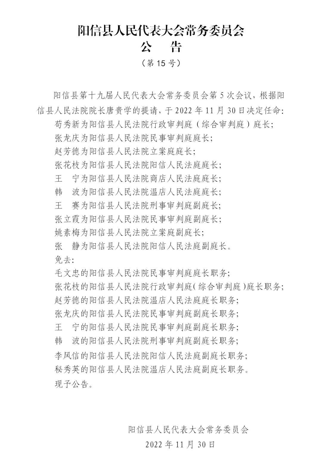 滨州阳信最新人事调整深度解析与个人观点观察